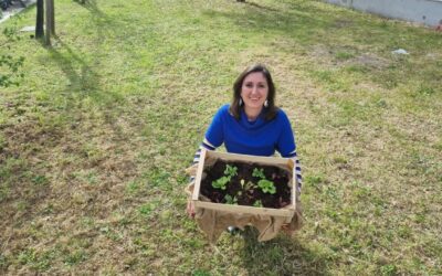 Orto in cassetta con consociazione piante: Lucia Cuffaro (Mdf Roma), Chi fa da sé Unomattina in Famiglia