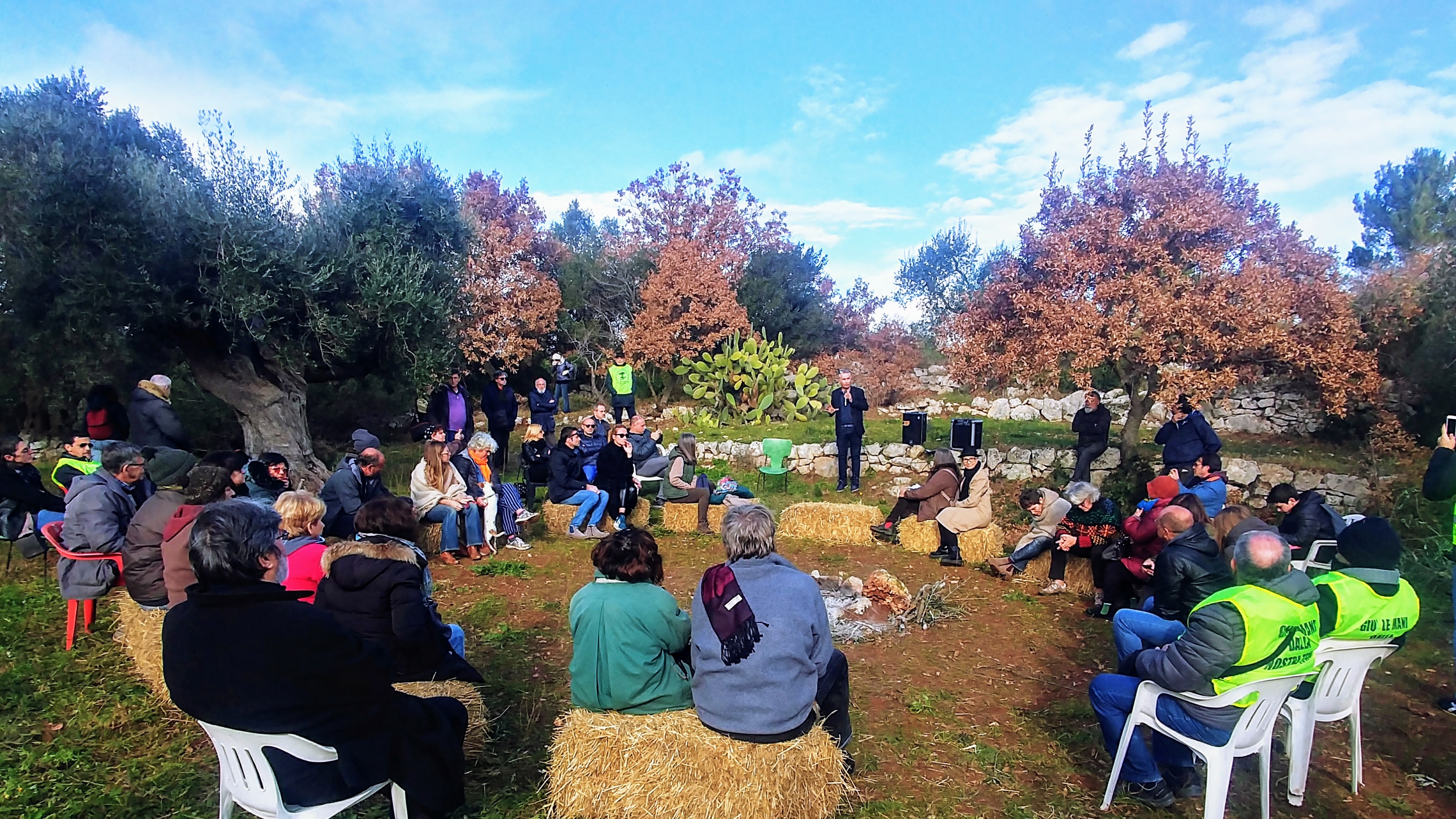 Vacanze sotto l’albero, d’ulivo