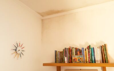 Autoproduzione: lo spray antimuffa naturale