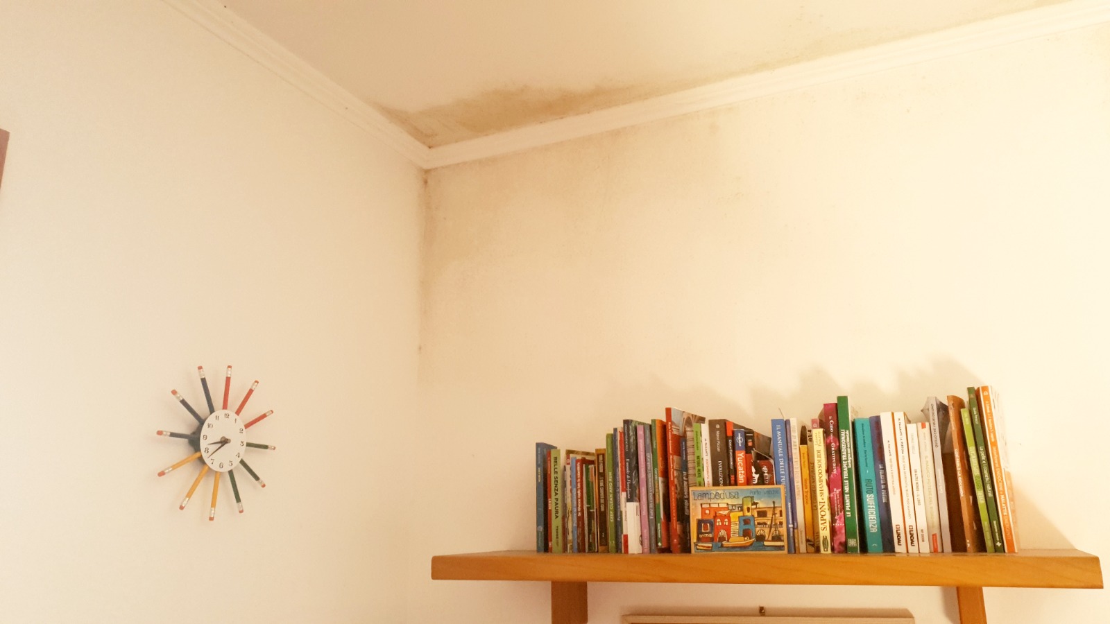 WhatsApp Image 2025-12-19 at 15.00.08