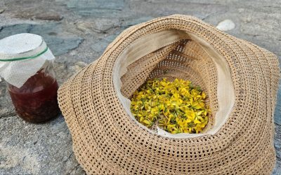 Autoproduzione. Oleolito di fiori di Iperico: erboristeria antica.