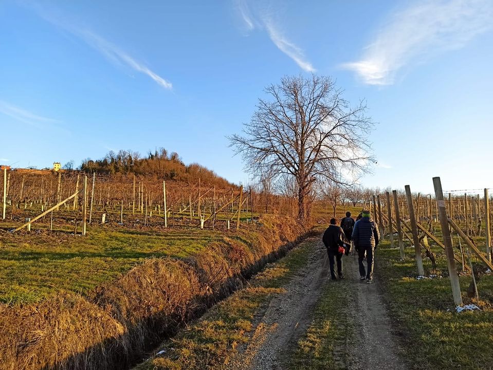 Copertina Circolo MDF di Alba