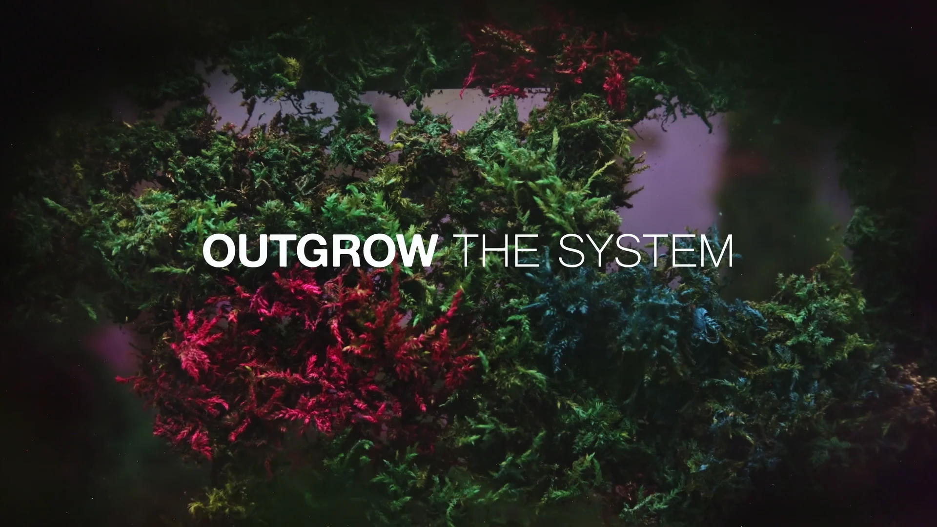 outgrow the system italia decrescita