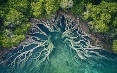 Discutere di decrescita – Per una decrescita obliqua