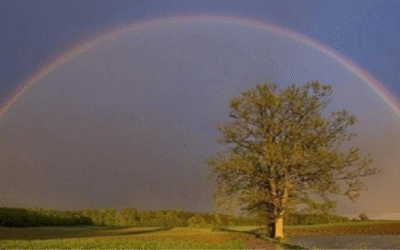 Prima riunione del Gruppo inter-associativo toscano