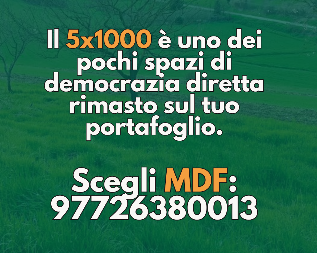 Formato Storie 916