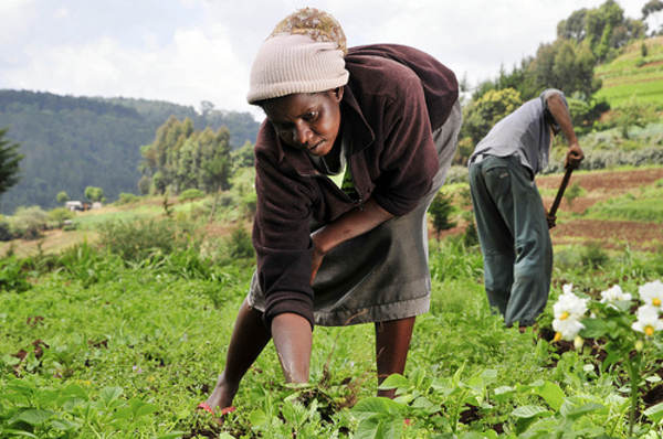 Un clima pesante per l’agro-business